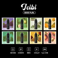 Feibi 菲比 一次性主機 8000口 (30)
